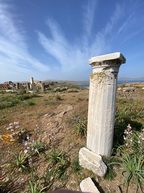 delos tour mykonos