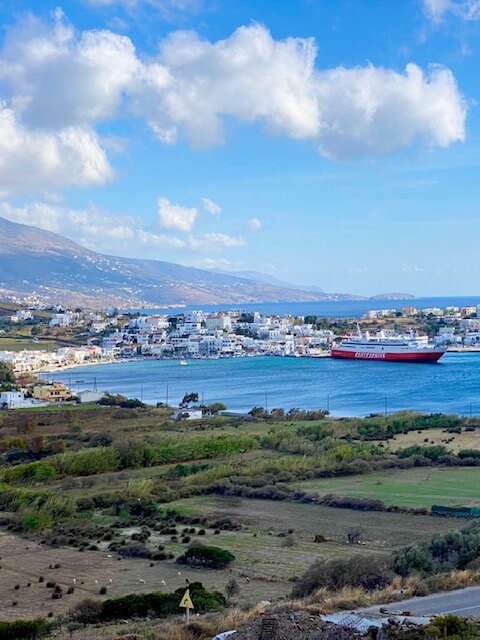 Andros: Port Private Transfer from Batsi