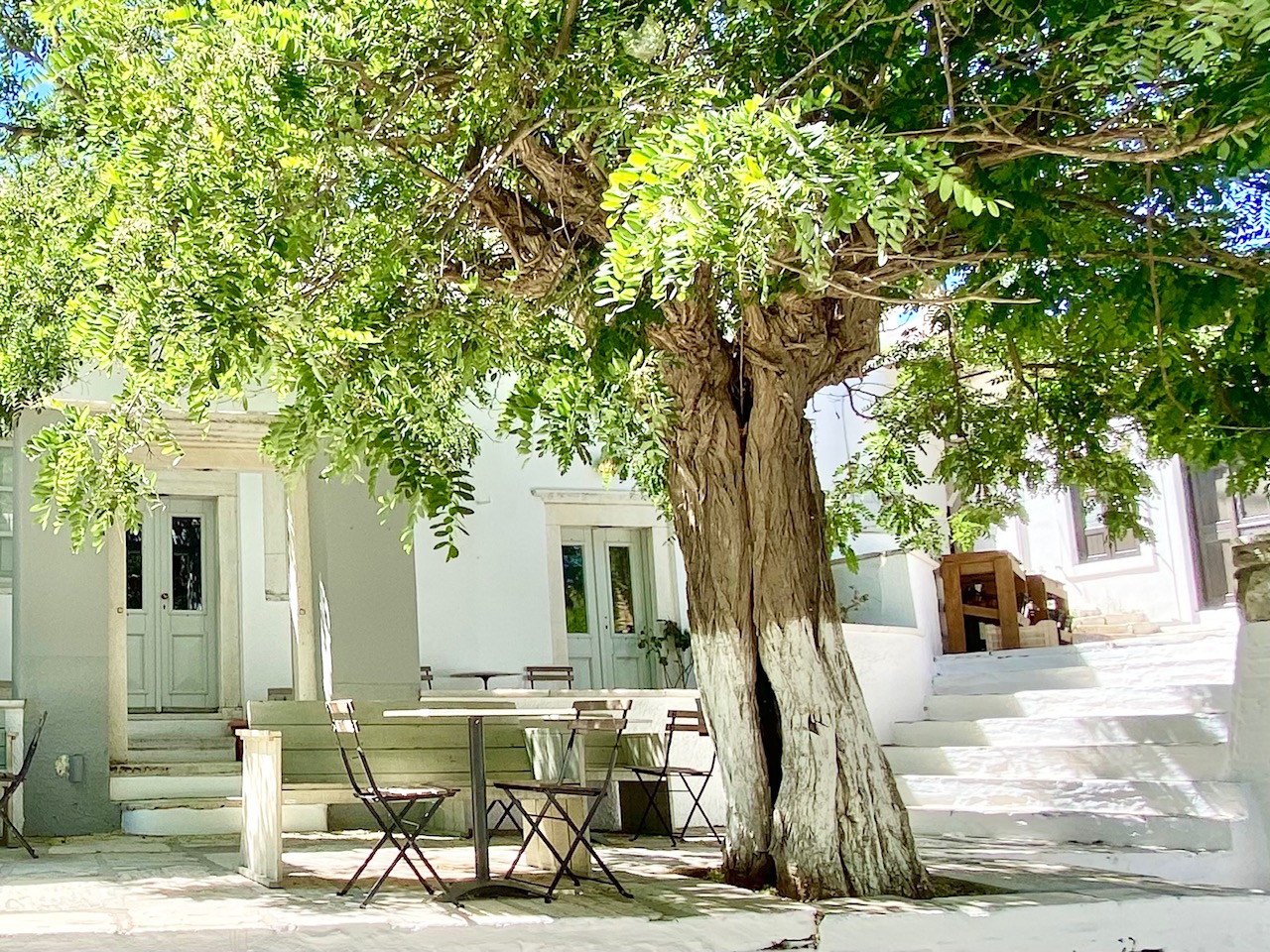 Cafe tables and chairs under a tree beside whitewashed steps