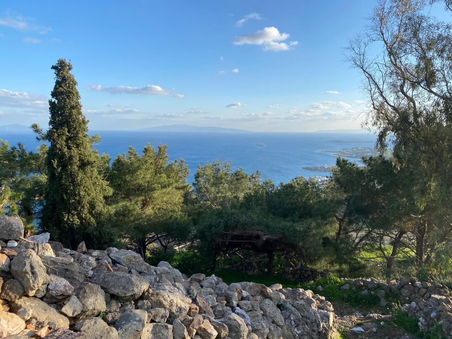 View of trees and the sea from a hill on Paros