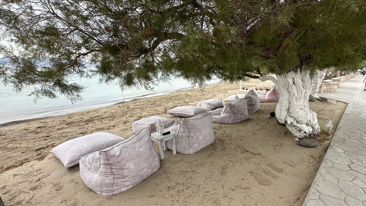 Pink bean bag chairs and foot stools under a tree on a sandy beach